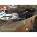 A182 F304 Stainless Steel DN450 Forged Flange